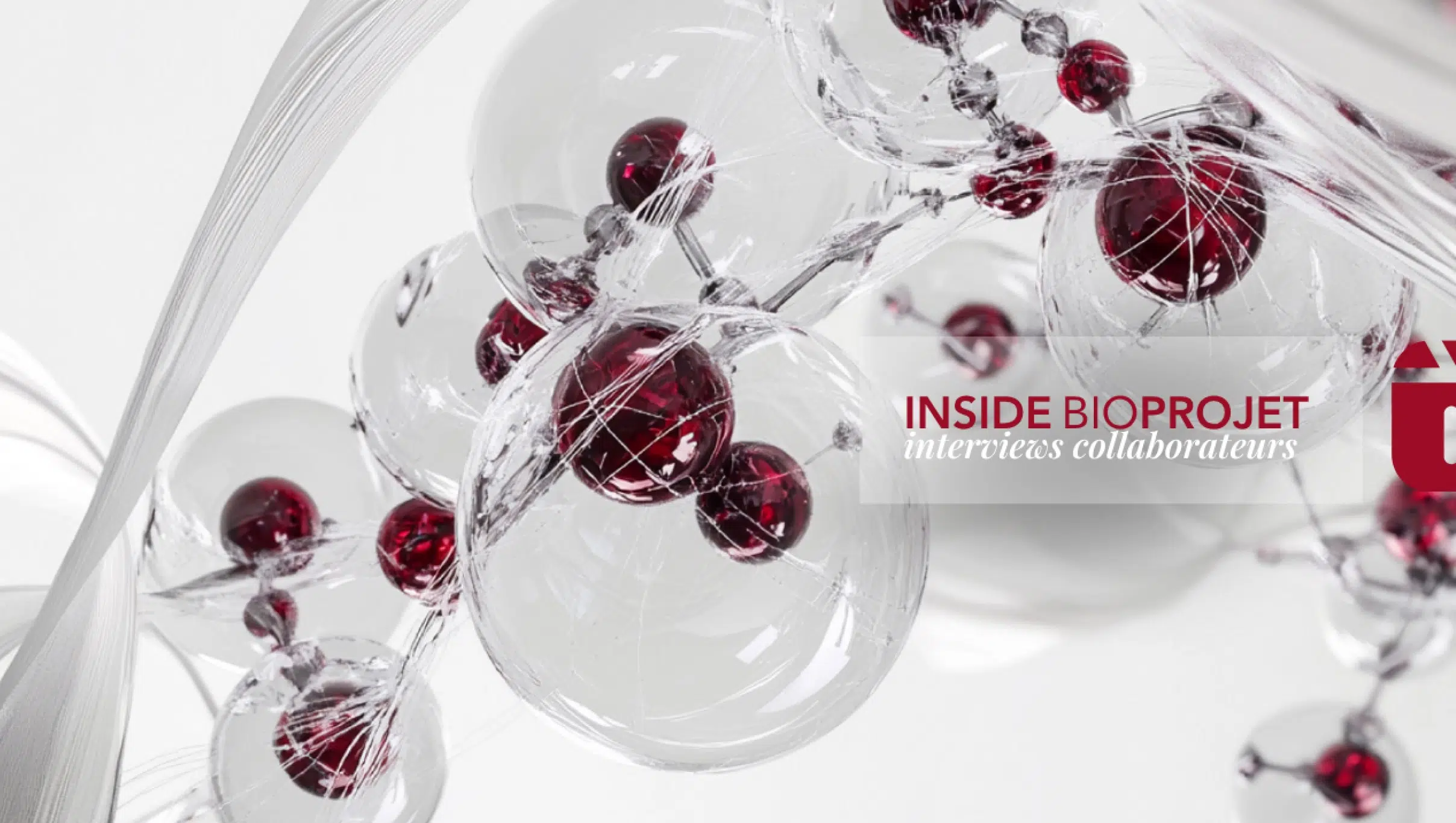 INSIDE BIOPROJET : Episode 3