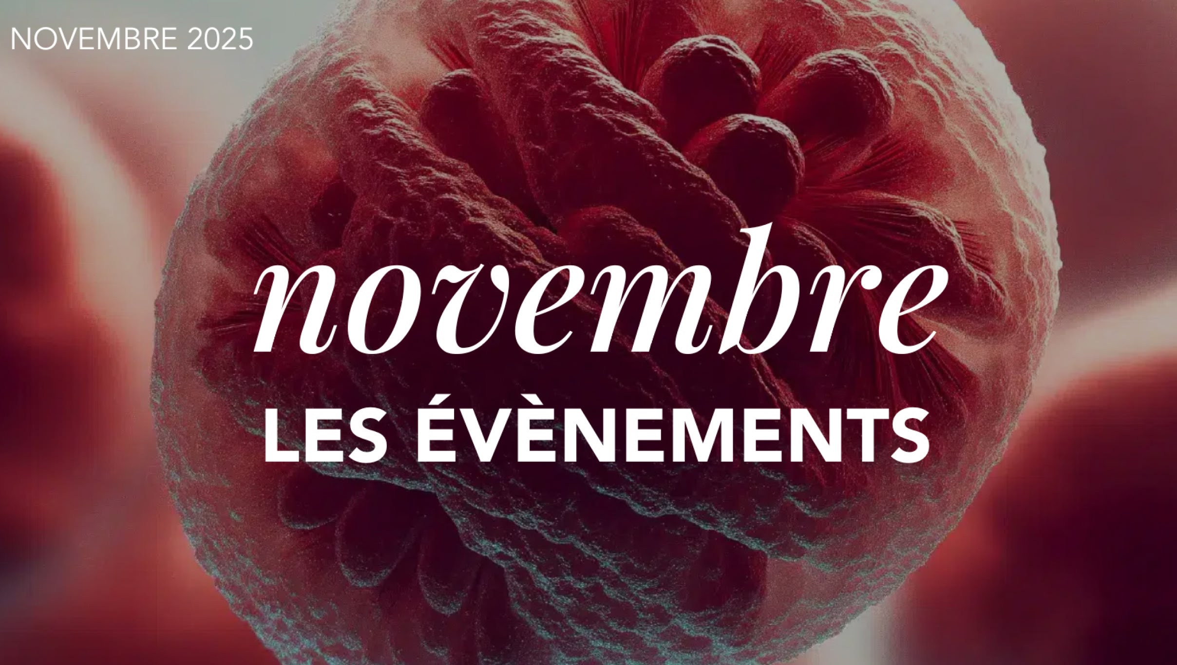 Les évènements de novembre 2025
